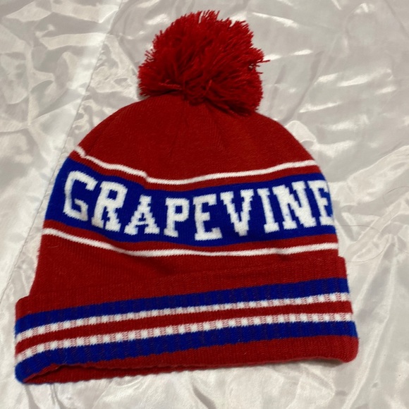 Grapevine Winter Hat Must Bundle - Picture 3 of 4